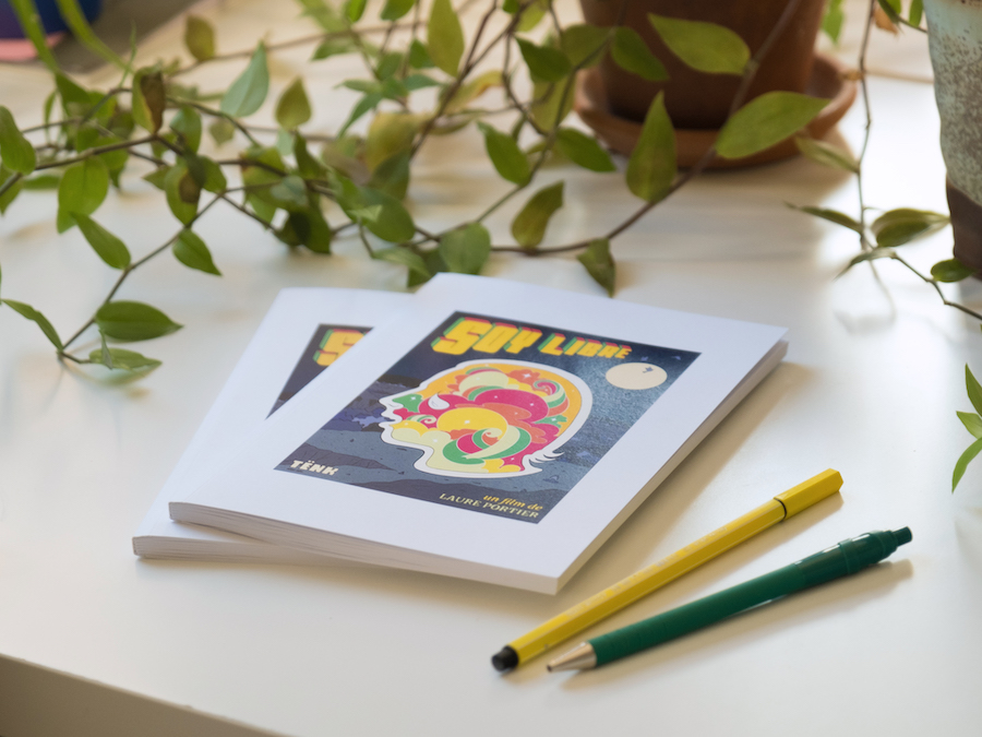 carnets-de-lanne-raphaelle-macaron